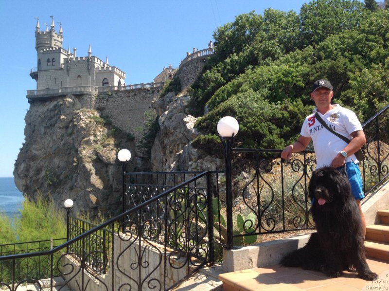 Фотография № 158269