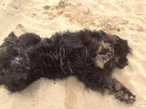 Фотография № 158272