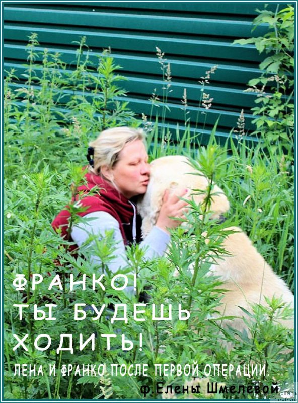 Фото: Lena Zyirina (Лена Зырина), ФРАНКО