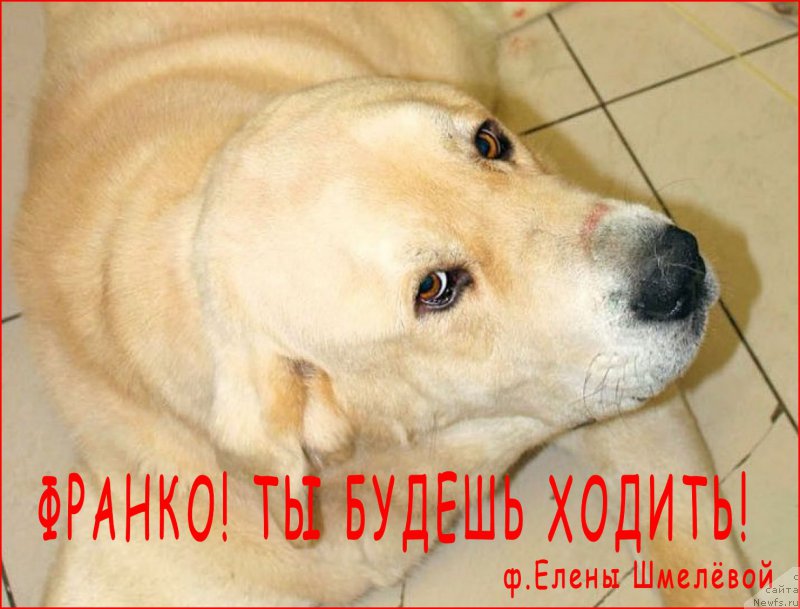 Фото: Lena Zyirina (Лена Зырина), Франко