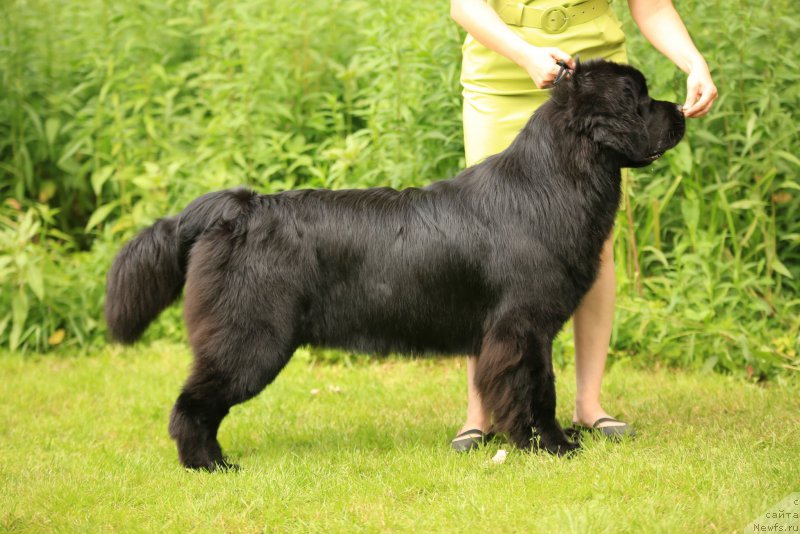 Фотография № 158331