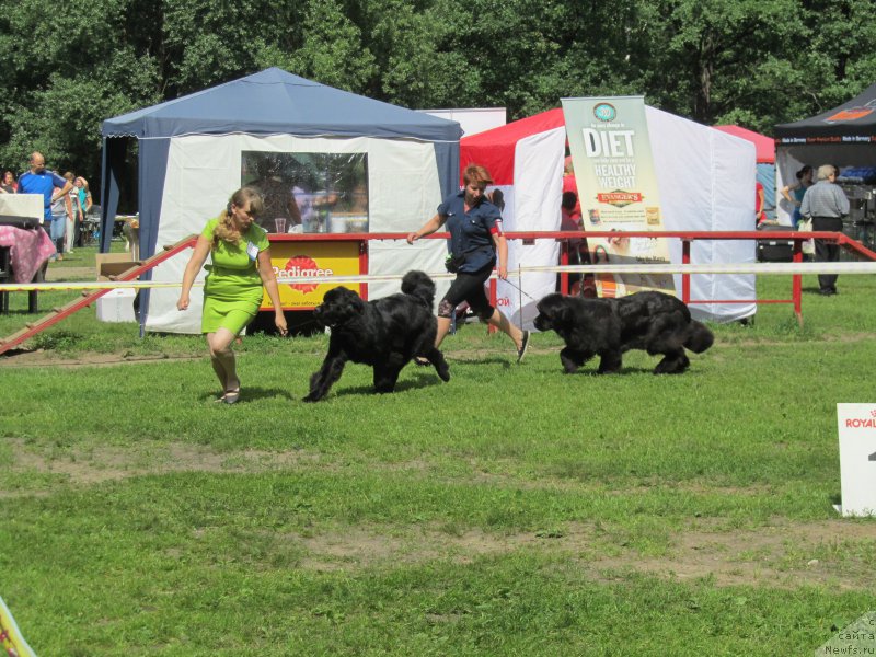 Фотография № 158333