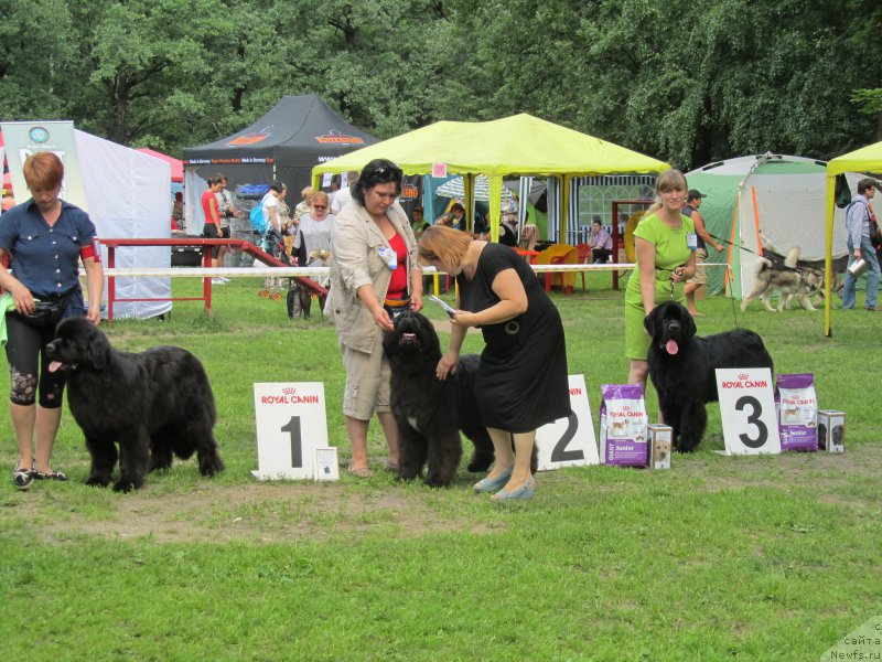 Фотография № 158334