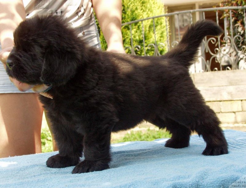 Фото: Viktor Hrischanovich (Виктор Хрищанович)