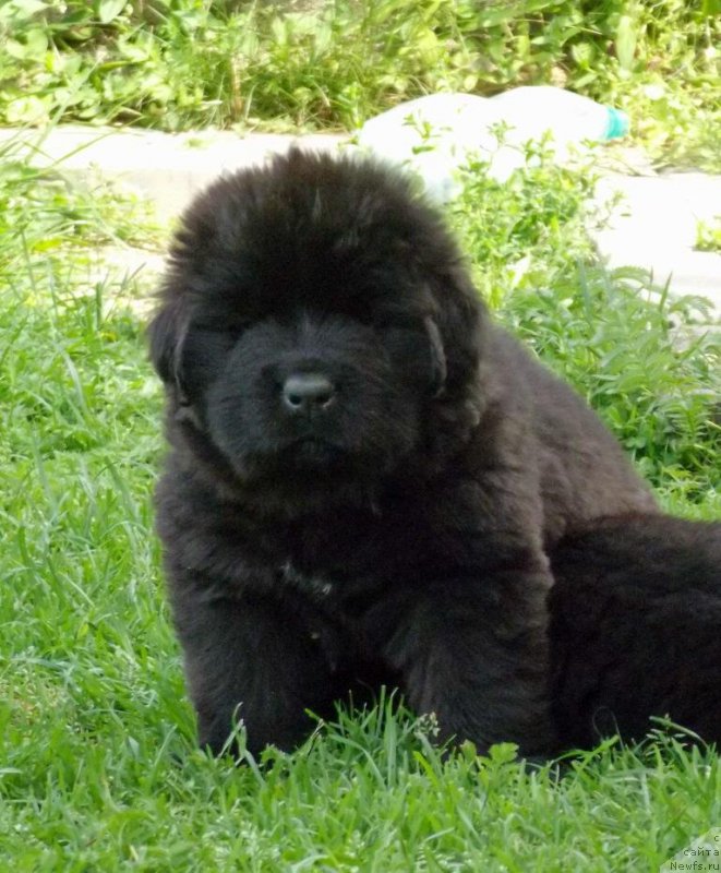 Фотография № 158384