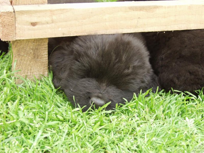 Фотография № 158389