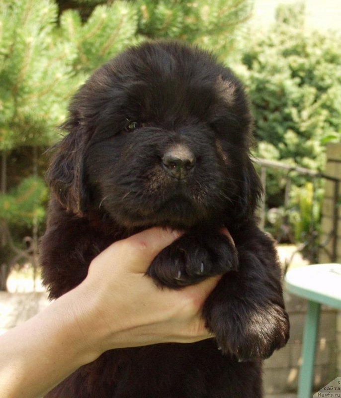 Фотография № 158391