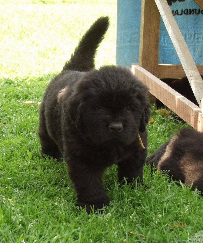 Фотография № 158406