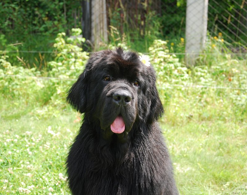 Фотография № 158445