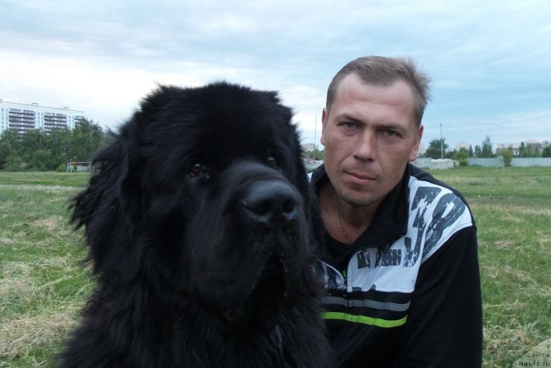 Фотография № 158451