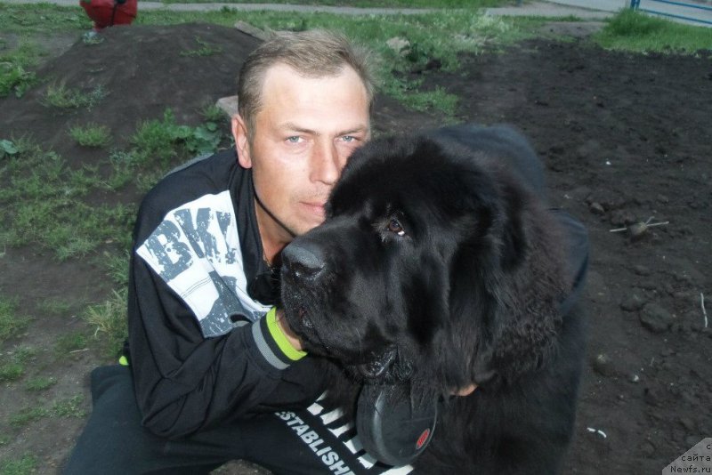 Фотография № 158452