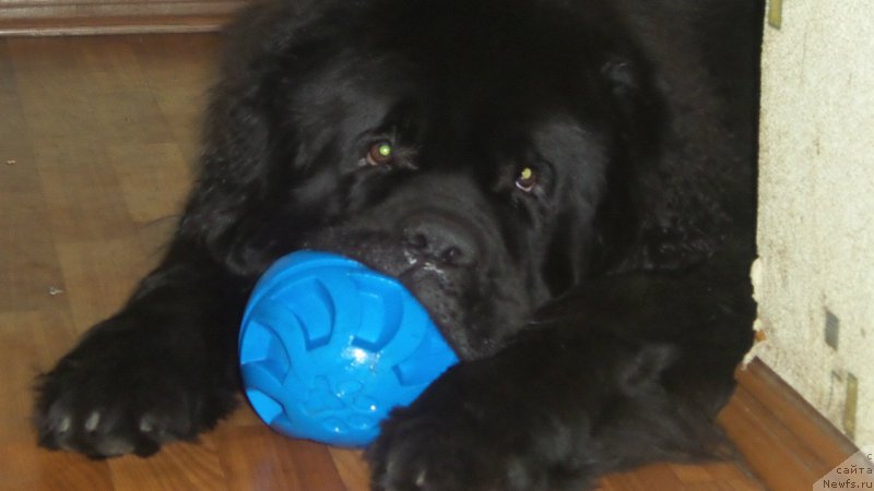 Фотография № 158453