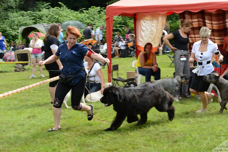 Фотография № 158482