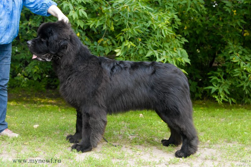 Фотография № 158518