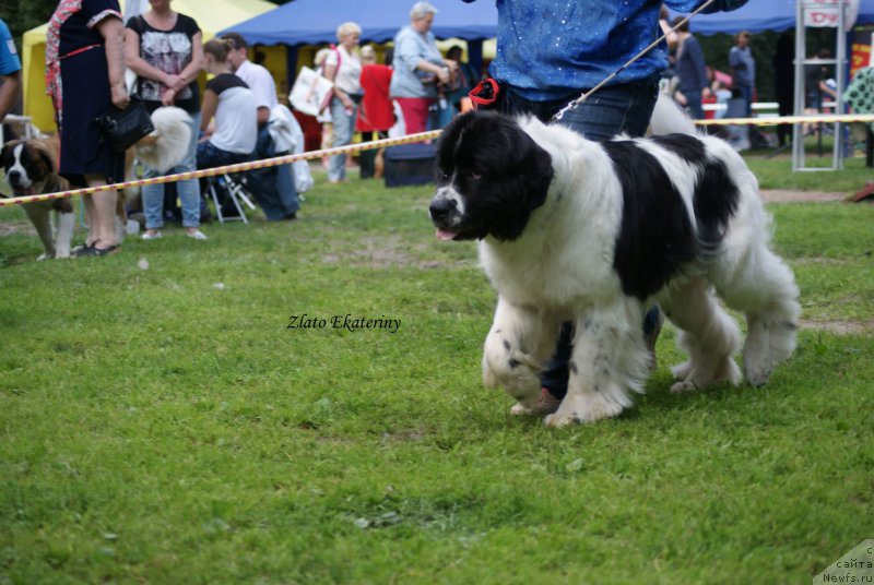 Фотография № 158524