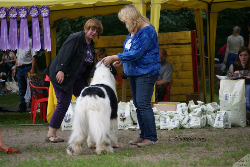 Фотография № 158526