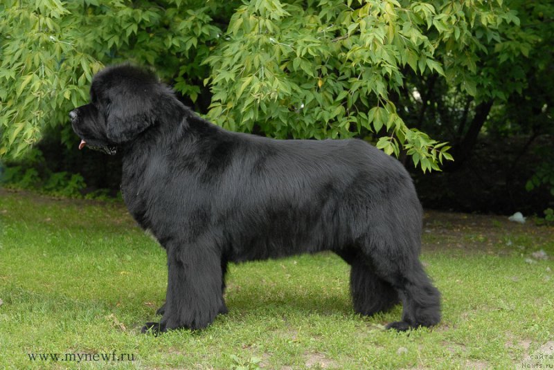 Фотография № 158529