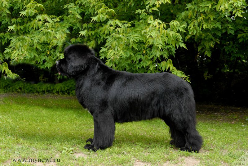 Фотография № 158530