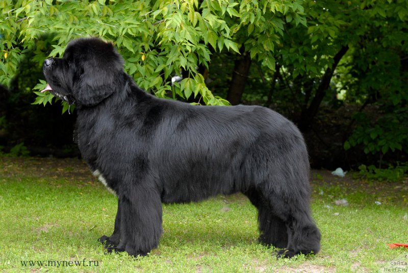 Фотография № 158531