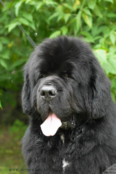 Фотография № 158534