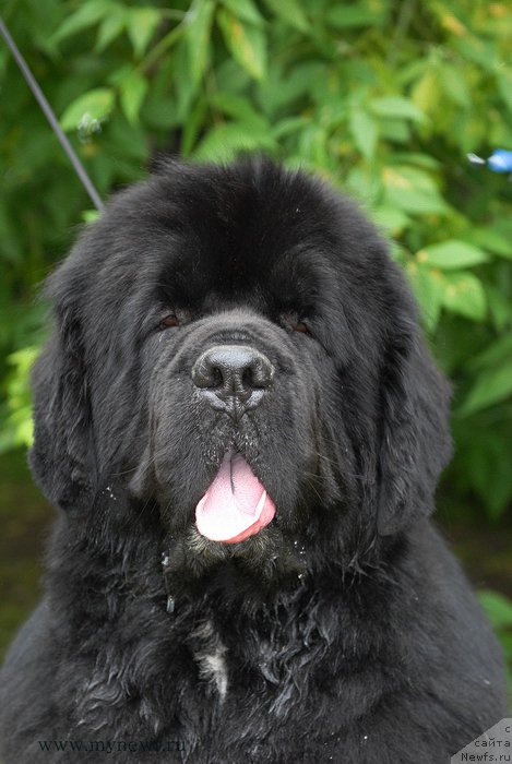 Фотография № 158535