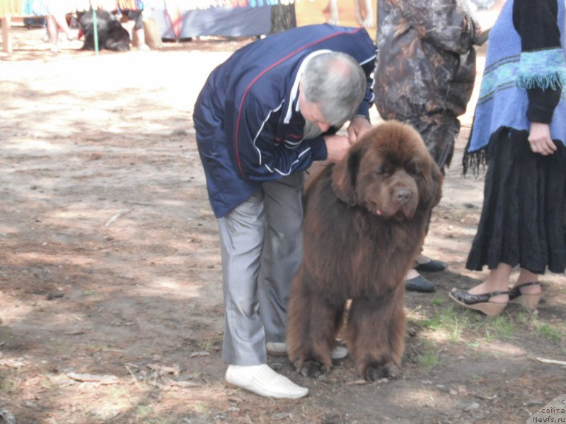 Фотография № 158643