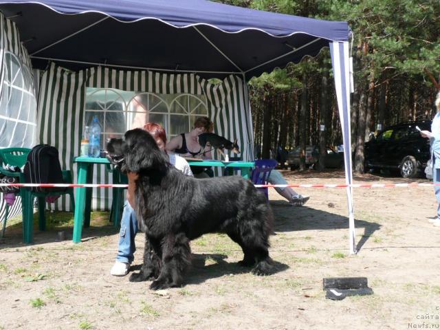 Фотография № 15869