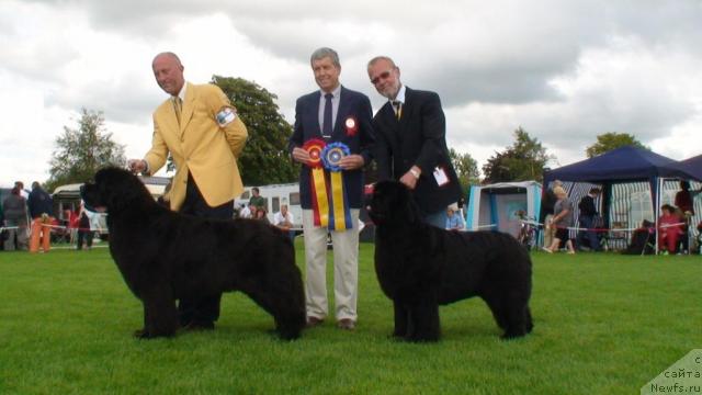 Фотография № 15870