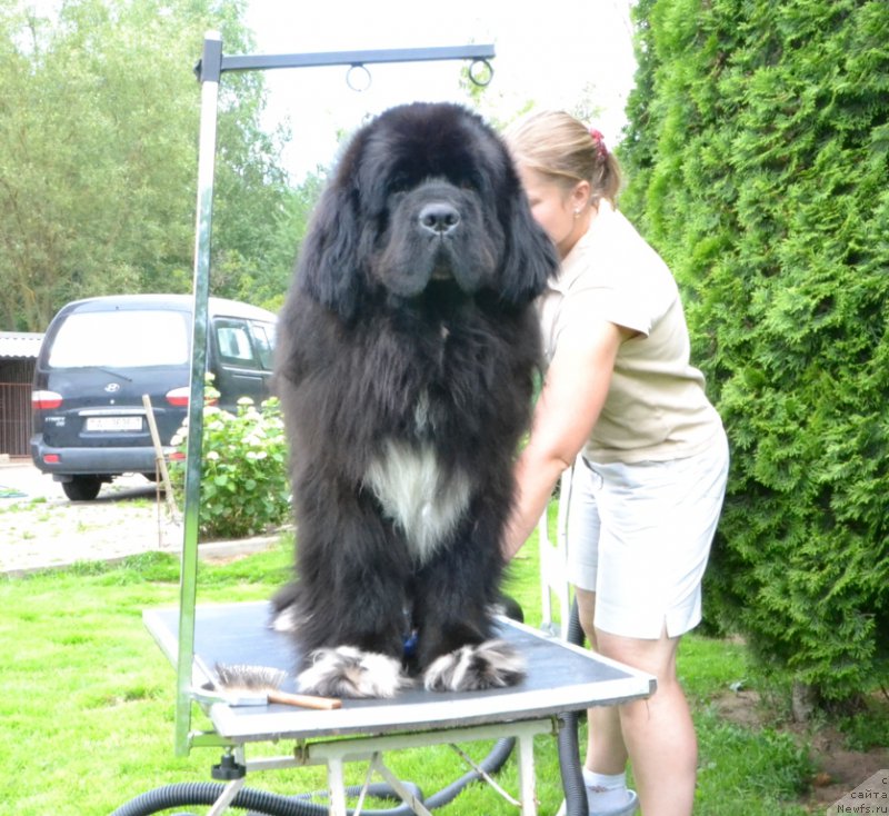 Фотография № 158716