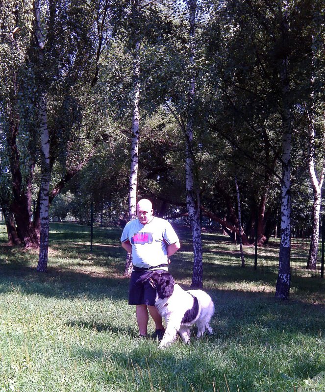 Фотография № 158729