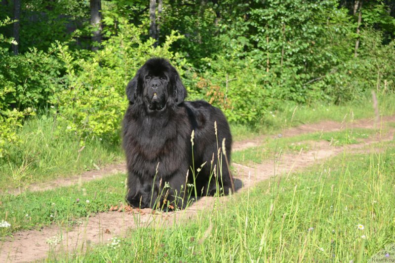 Фотография № 158747