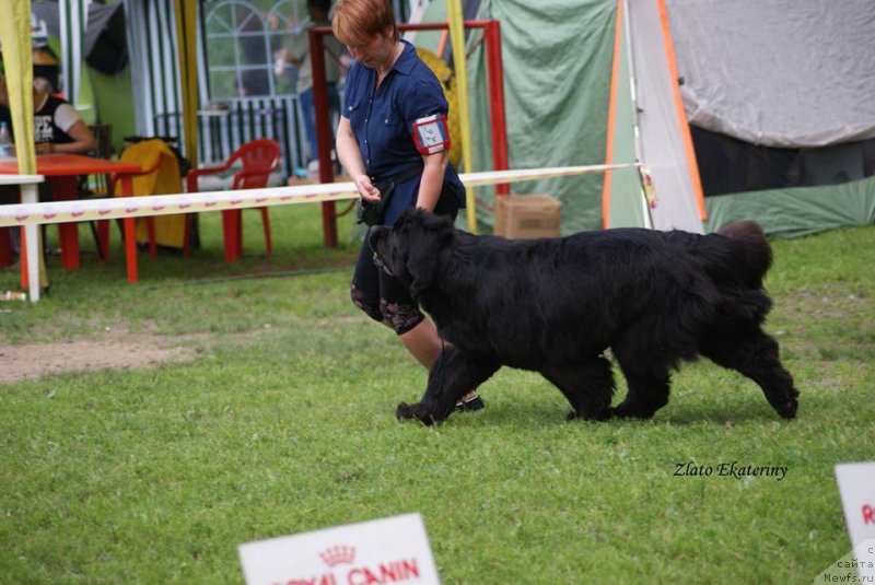 Фотография № 158827