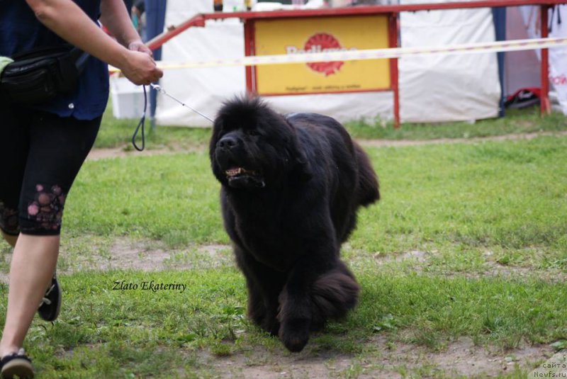 Фотография № 158828