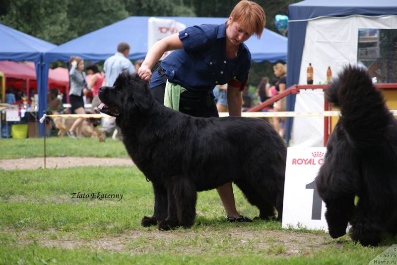 Фотография № 158829