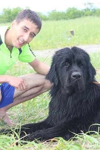 Фотография № 158837