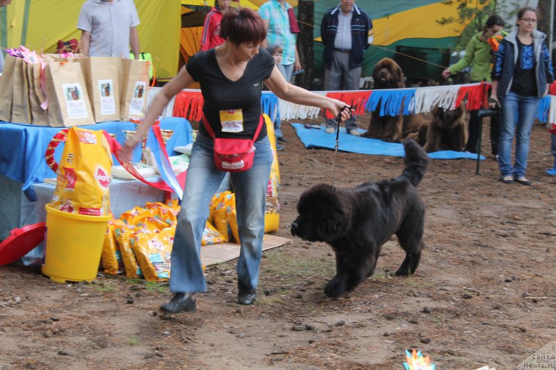 Фотография № 158839