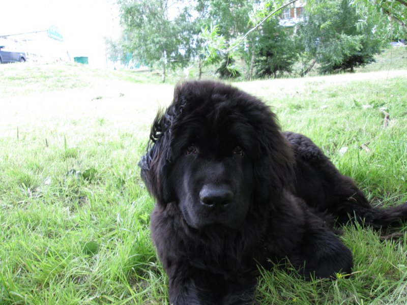 Фотография № 158858