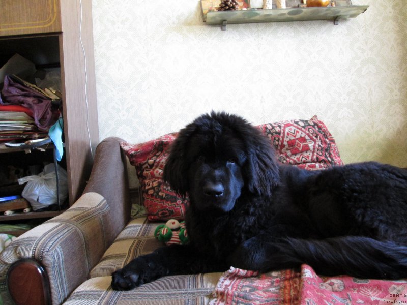 Фотография № 158860