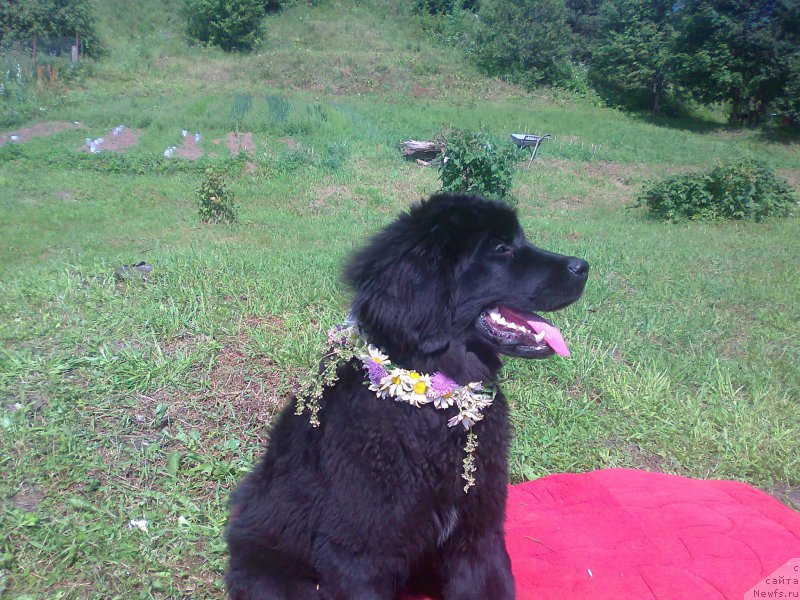 Фотография № 158863