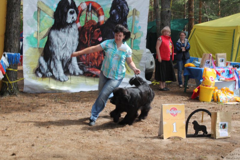 Фотография № 158874