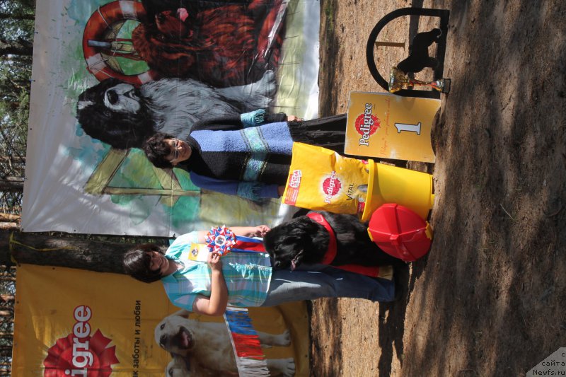 Фотография № 158878