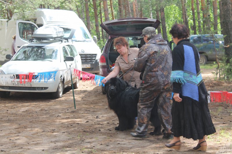 Фотография № 158879