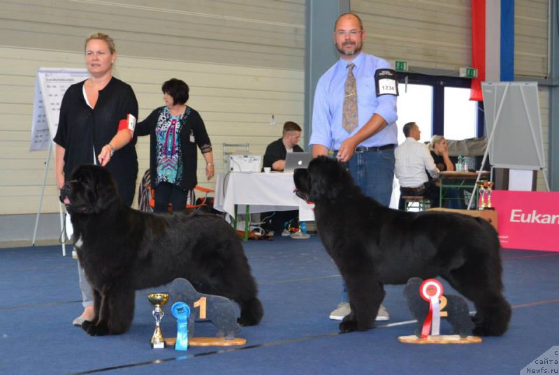 Фотография № 158894