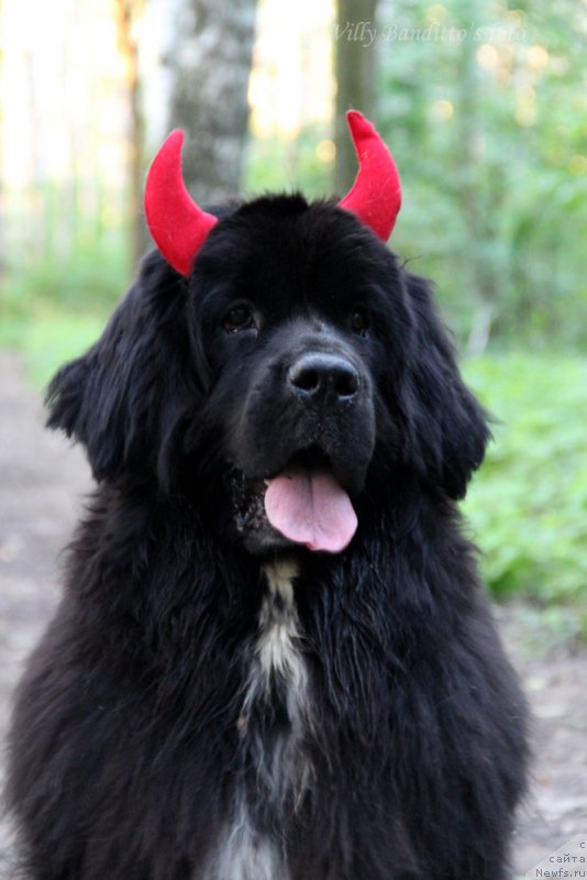 Фотография № 158896