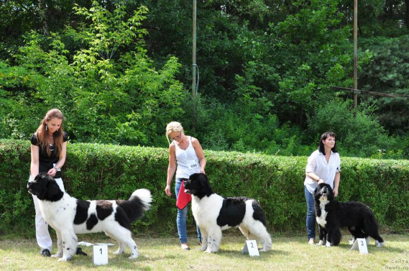 Фотография № 158898