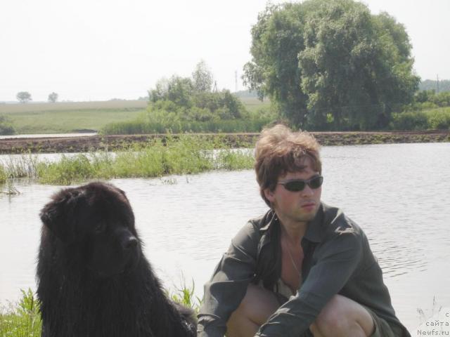 Фото: ньюфаундленд Antey Trevellerintaym (Антей Тревеллеринтайм), Aleksandr Nechval' (Александр Нечваль)