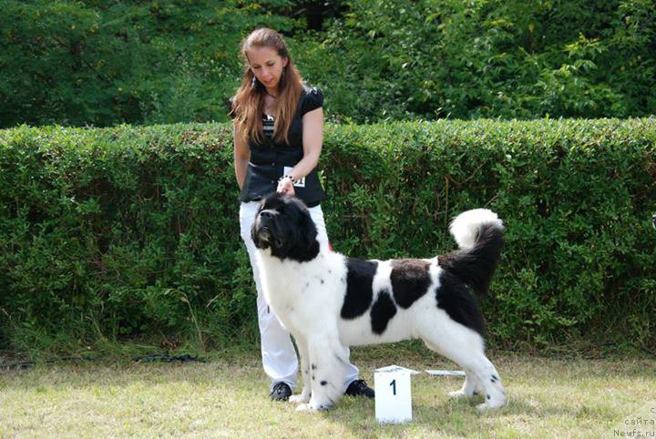 Фотография № 158901