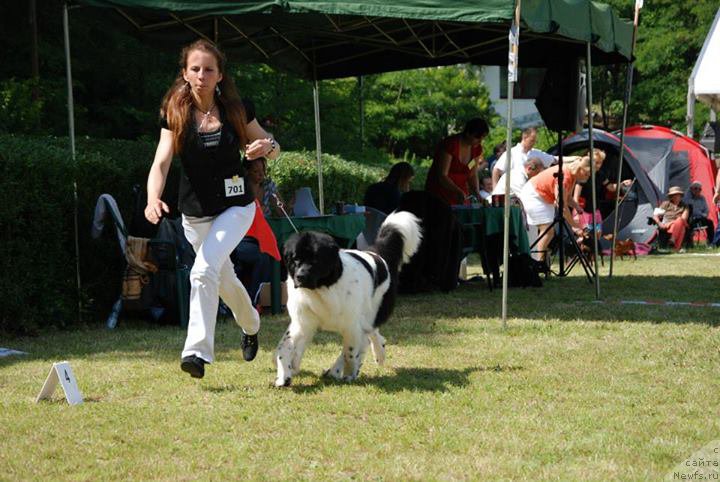 Фотография № 158903