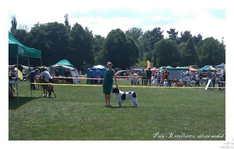 Фотография № 159009