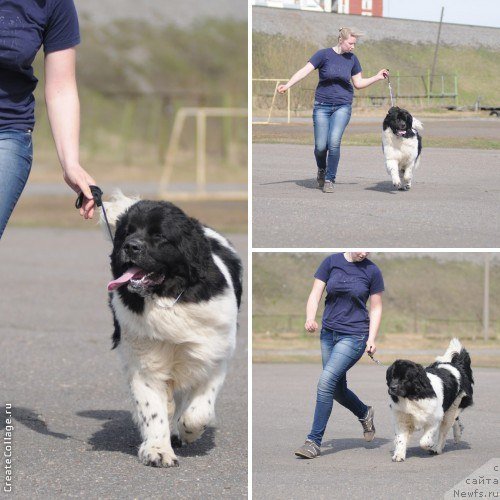 Фотография № 159012